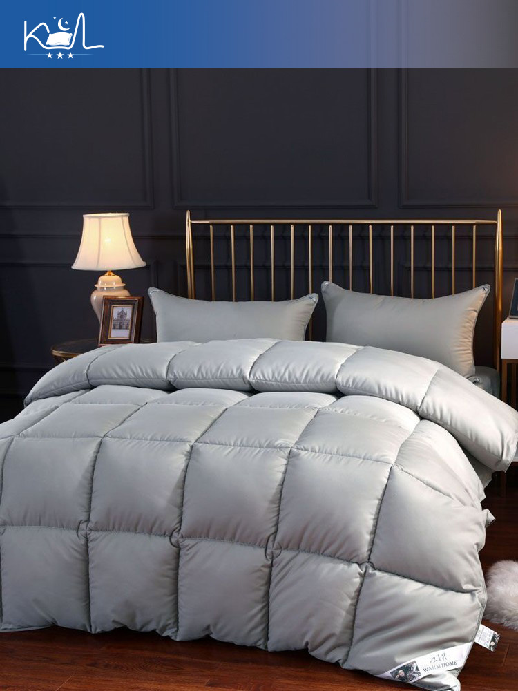 Duvet Insert White - 95% wit ganzen dons dekbedinlegger, voor