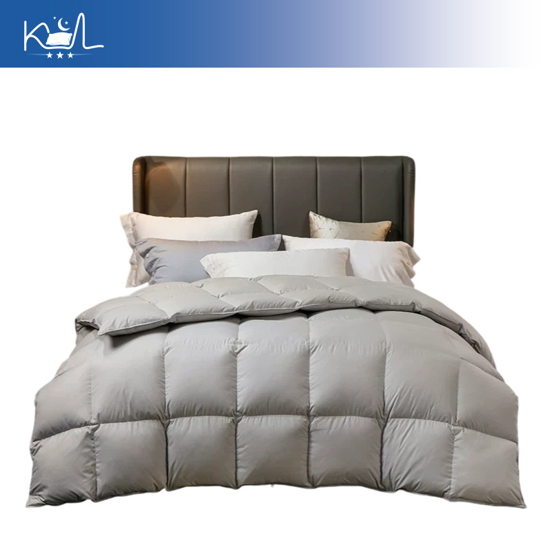 95% witte ganzendons dekbed, d - Duvet Insert White recensie en prijs