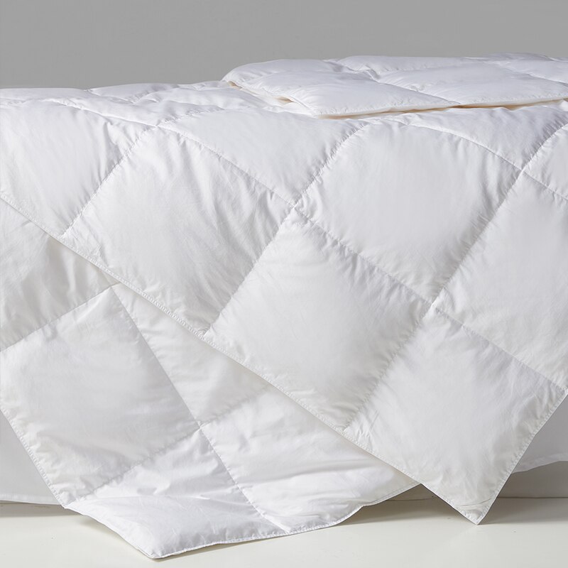 Lichtgewicht Dons Dekbed Wit D - Duvet Insert White recensie en prijs