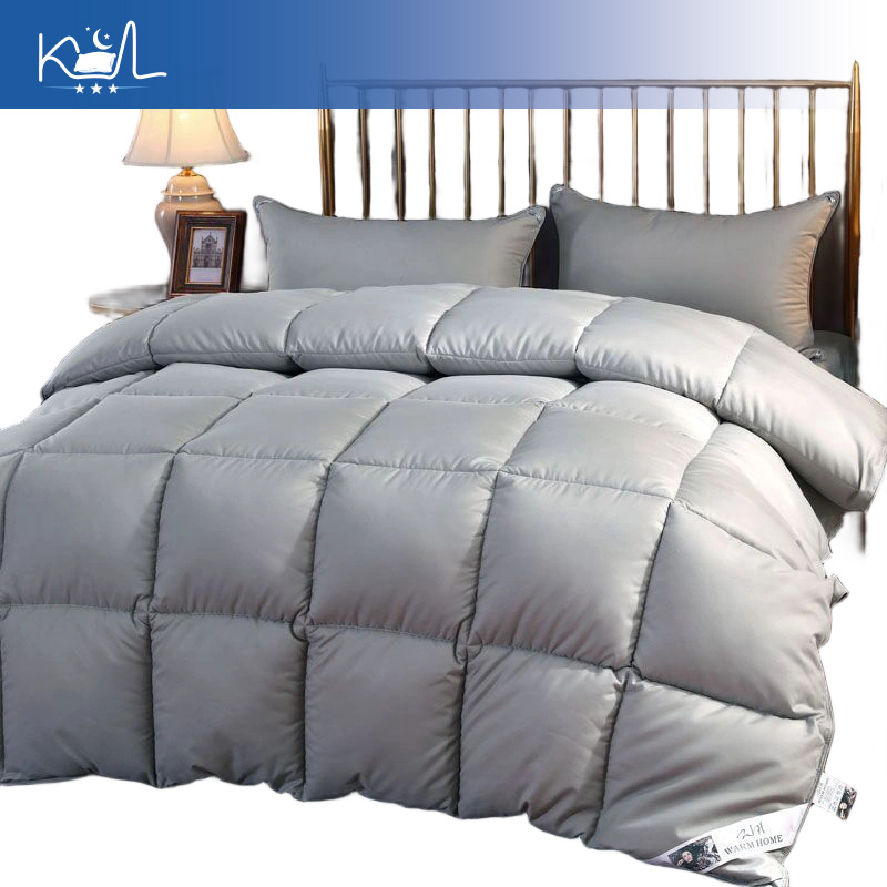95% wit ganzen dons dekbedinle - Duvet Insert White recensie en prijs