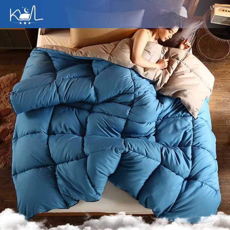 95% wit ganzen dons dekbedinle - Duvet Insert White recensie en prijs