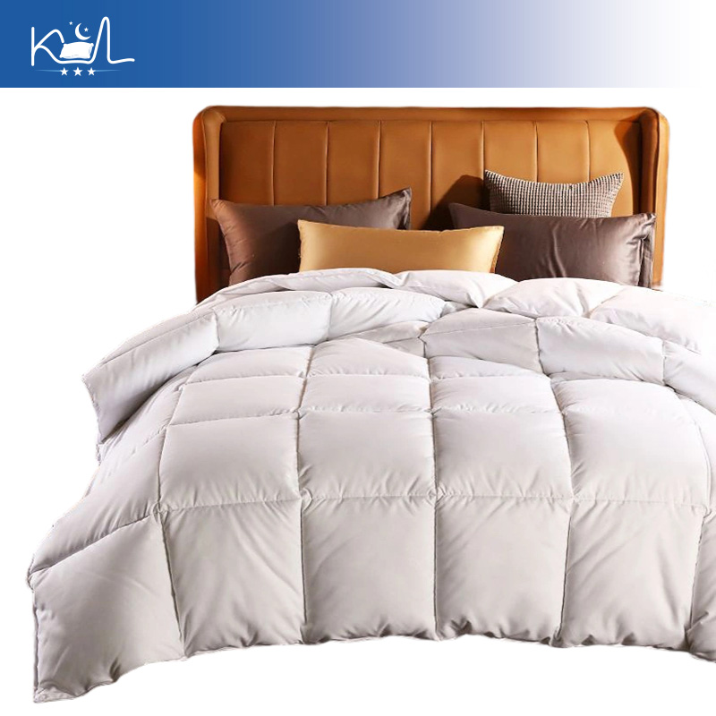 95% wit ganzen dons dekbedinle - Duvet Insert White recensie en prijs